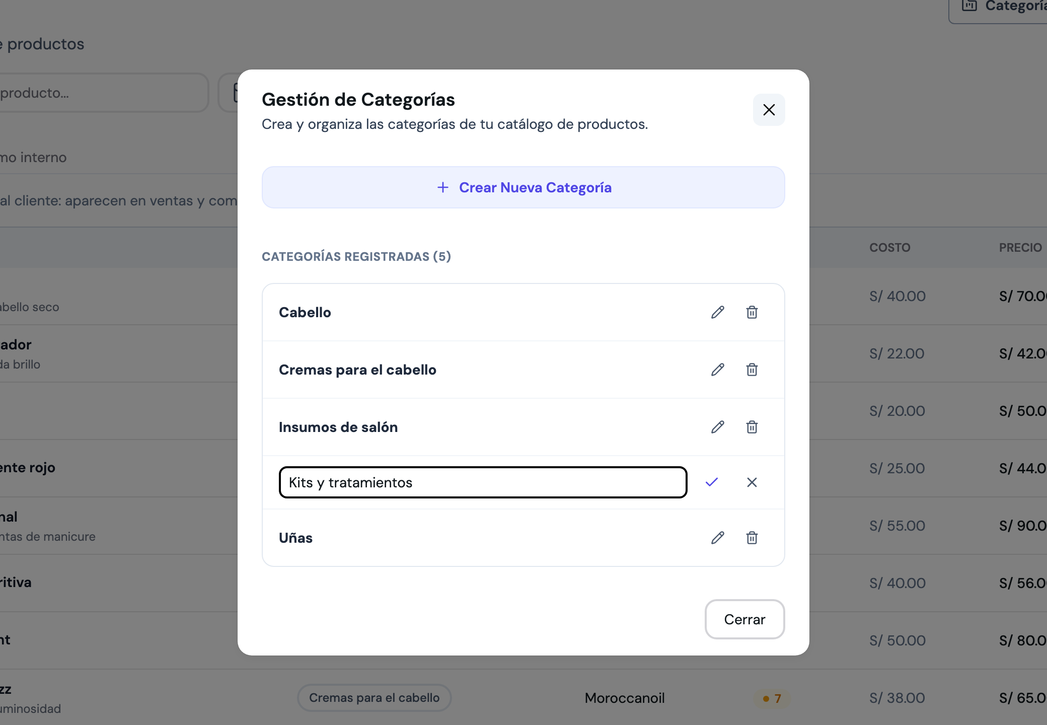 Una categoría en modo edición, con su nombre editable y los botones de guardar y cancelar